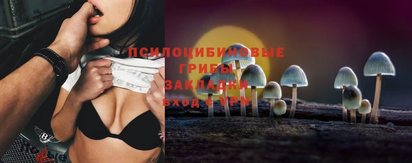 дурь Аркадак