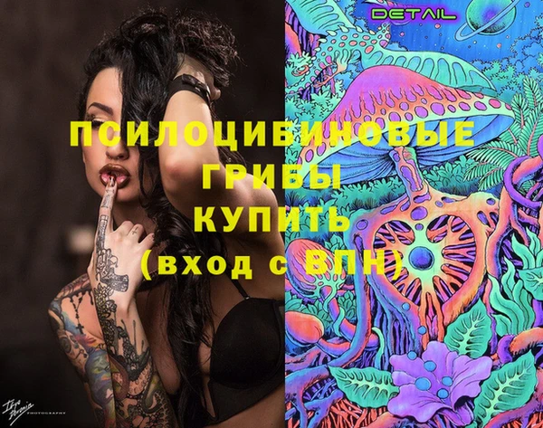 экстази Арсеньев