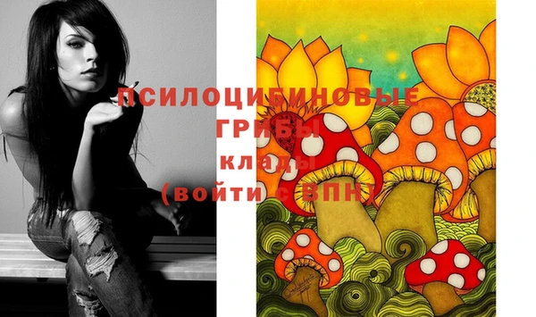 бошки Армянск