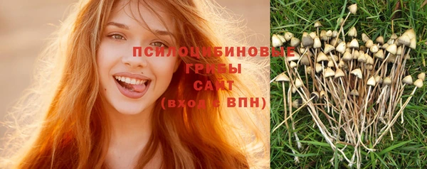 экстази Арсеньев