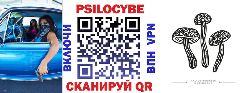 Псилоцибиновые грибы Psilocybine cubensis  OMG   Слободской 